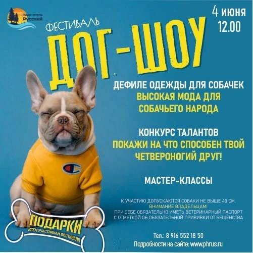 ДОГ-ШОУ